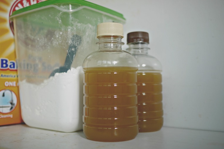 Green Monday : DIY Eco Enzyme For Cleaning // Mono + Co